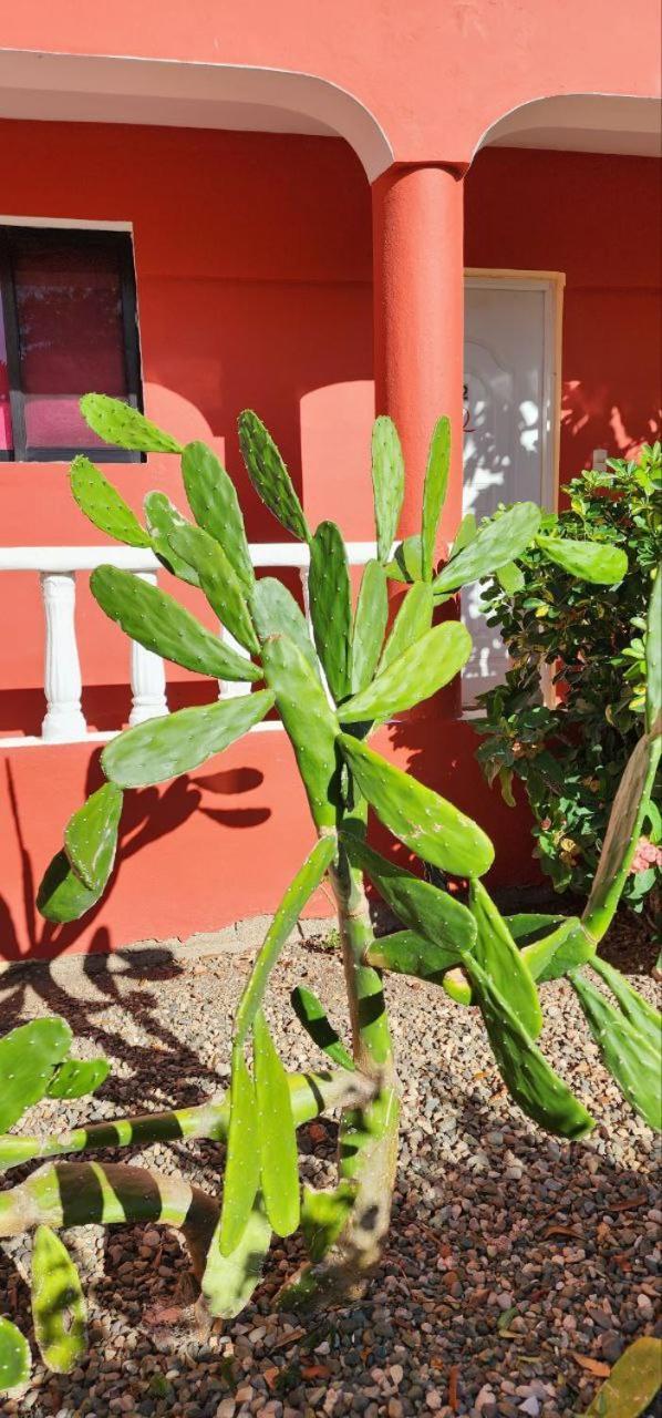 Villa Kiki Ensenada Пунта Русія Екстер'єр фото